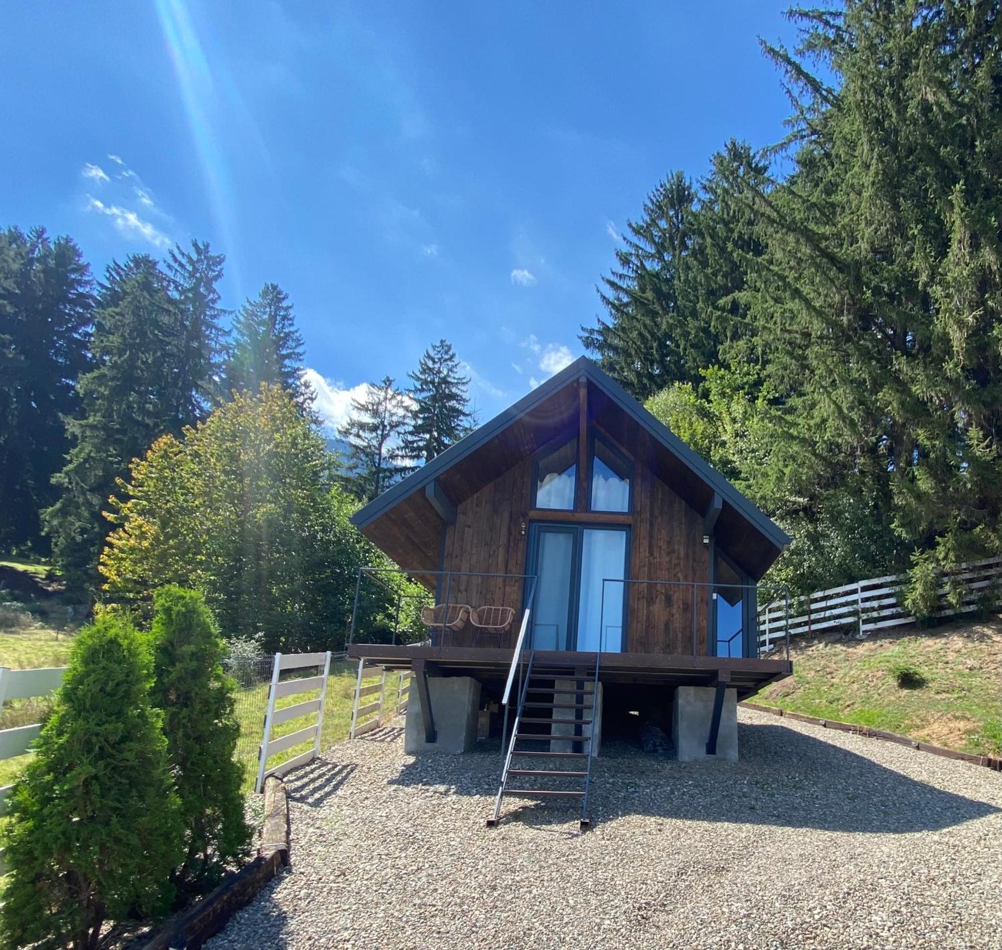 Bramble Tiny House Villa Zărneşti Екстериор снимка